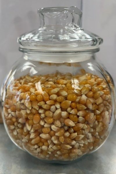 Popcorn Kernels